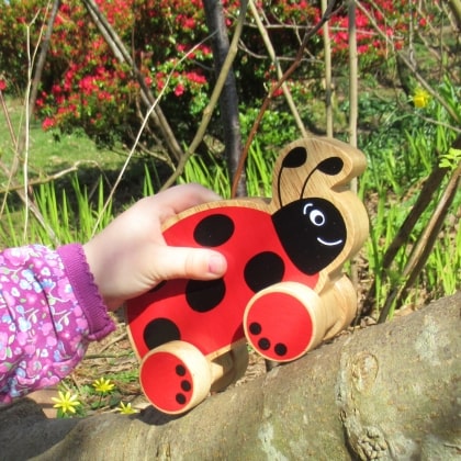 Lanka Kade Ladybird Push Along Toy - Fair Trade Wooden Toy. Say It Baby Gifts