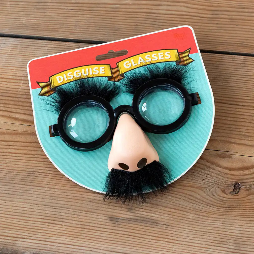 Rex London Disguise Glasses - sold by Say It Gifts