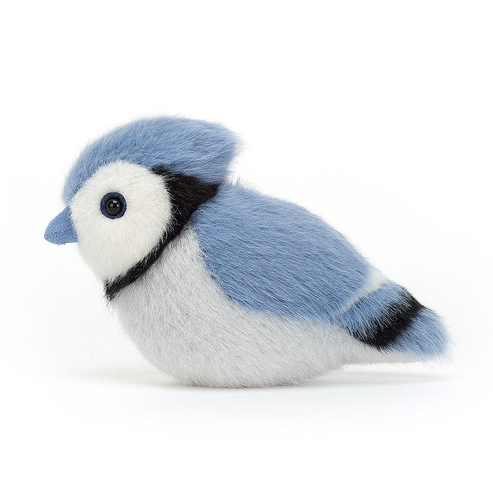 Jellycat Birdling Blue Jay.  Birdling Blue Jay has soft blue fur, suedey beak and a gorgeous snowy face with bold black markings. A gorgeous little companion to cheer!
