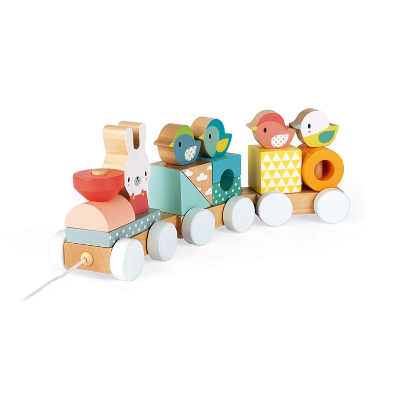 Janod Pure Train for age 12 months plus. Encourages imagination and creativity