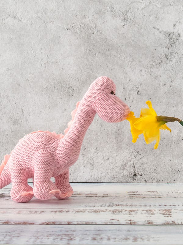 Best Years Knitted Organic Cotton Diplodocus Baby Rattle - Pink