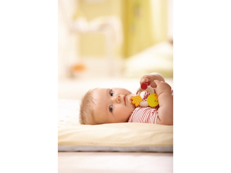 Haba Sparrow Clutching Toy - Say It Baby 