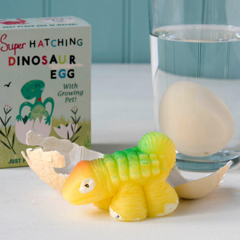 Hatch Your Own Dinosaur Egg - Say It Baby Hatch Your Own Dinosaur Egg