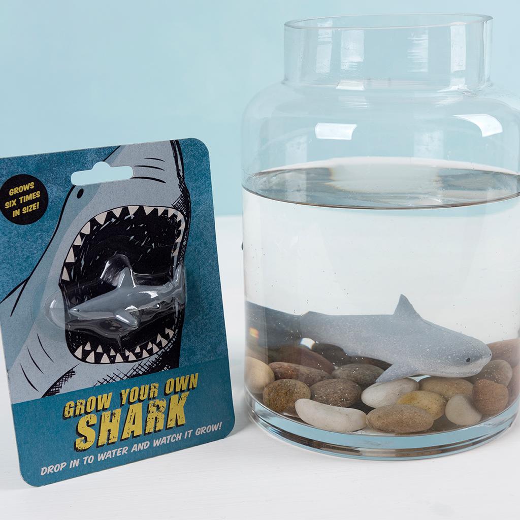 Grow Your Own Shark by Rex London. Sold by Say it Baby Gifts