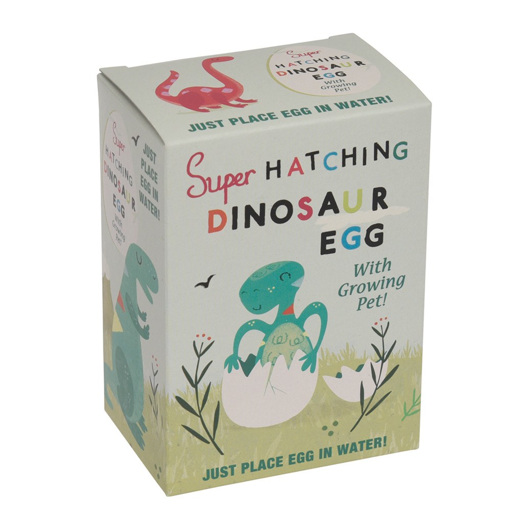 Super Hatching Dinosaur Egg by Rex London